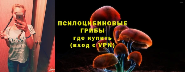 меф Пестово