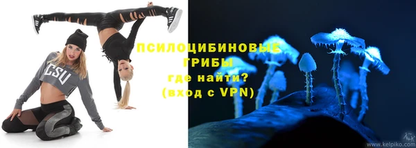 тгк Алексин