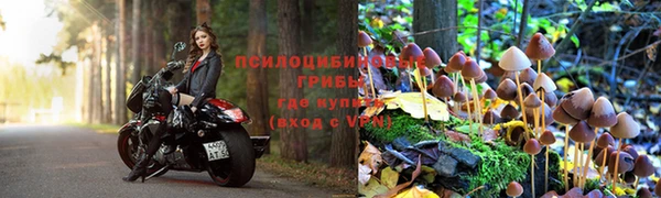 спайс Алексеевка