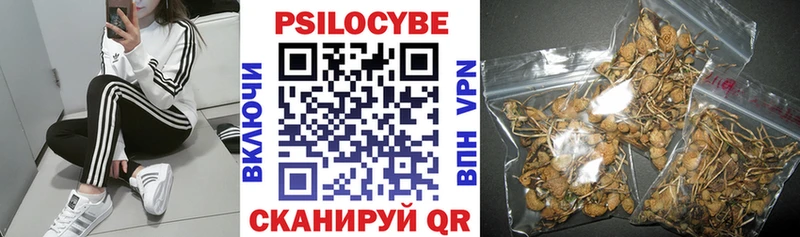 Псилоцибиновые грибы GOLDEN TEACHER  купить наркотики цена  Краснокамск 